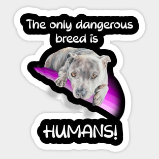 The only dangerous breed is HUMANS! Sticker